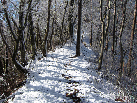 20191129hike (233)